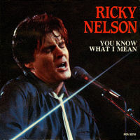 Ricky Nelson - 7" single - You Know What I Mean