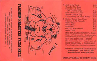 MC: The Hamsters - Flasher Hamster From Hell (Live)